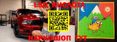 прущие грибы Кулебаки