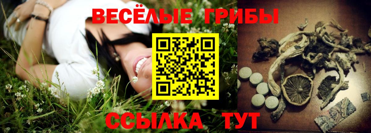 Шатура  Псилоцибиновые грибы Psilocybe  Вход с VPN 
