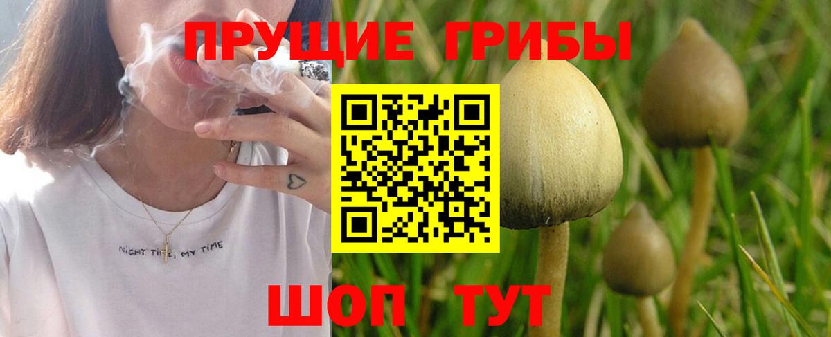Псилоцибиновые грибы ЛСД Шатура